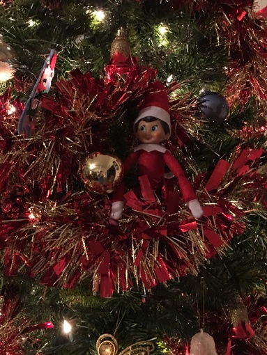 elf on a shelf, Christmas, tree